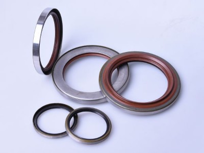 Series of Oil Seal